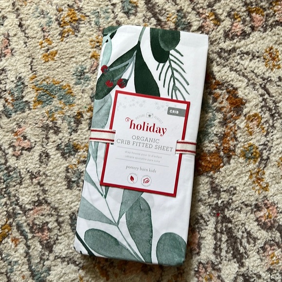 Pottery Barn Kids Accessories Pottery Barn Kids Christmas Crib